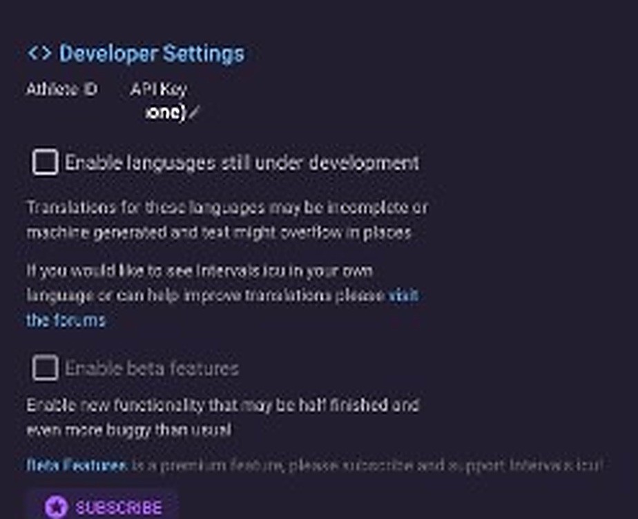 Intervals.icu settings with Developer Settings